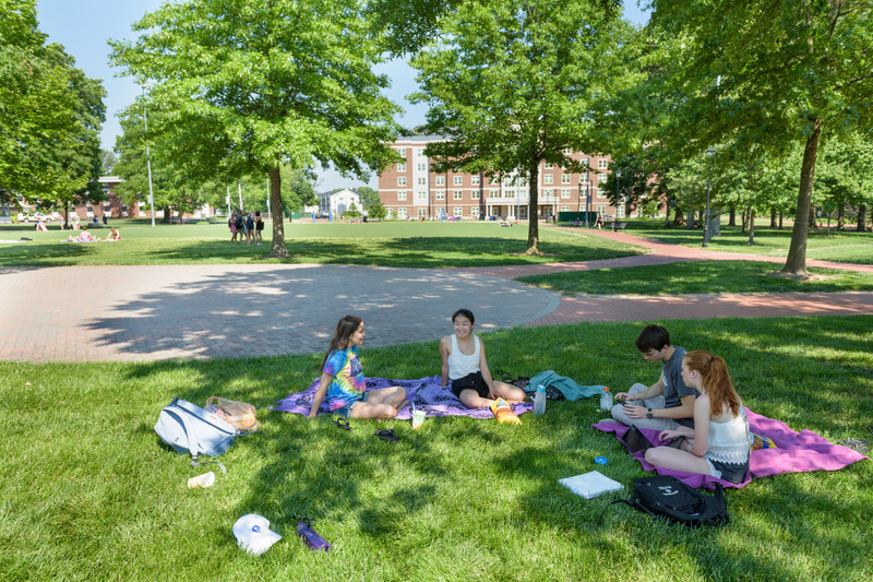 Students on The Green