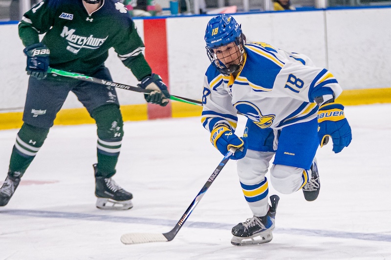 “Obviously, how we play on the ice matters, but we take great pride in being good members of the community,” Baressi said.