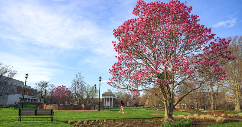 Campus beauty with Memorial Hall