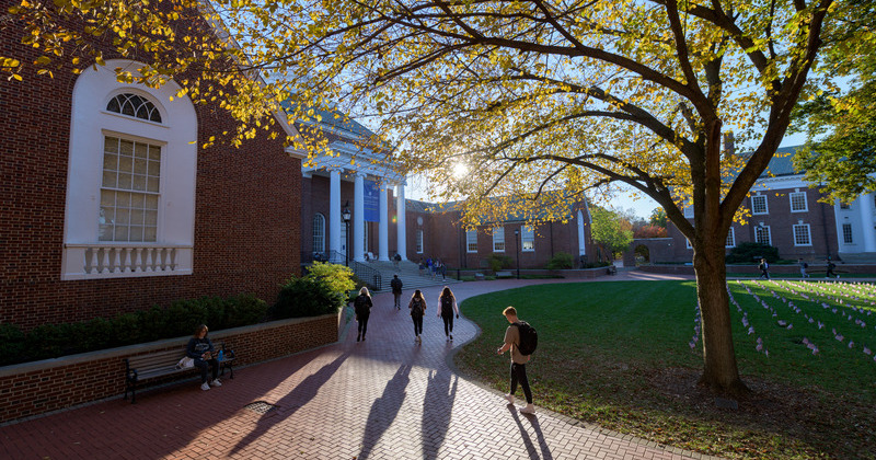 Campus fall beauty