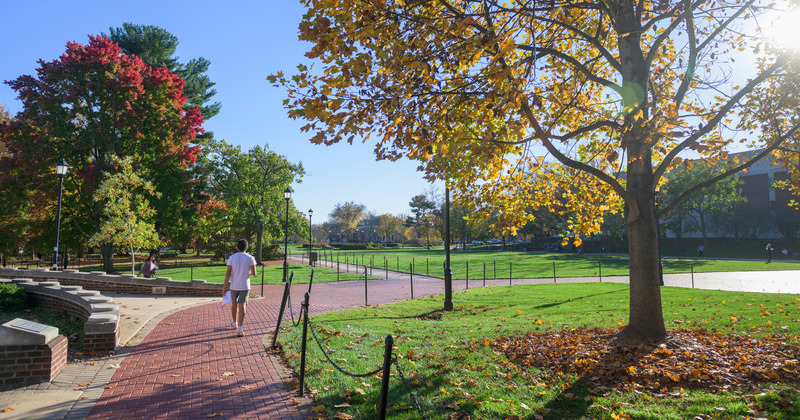 Campus fall beauty