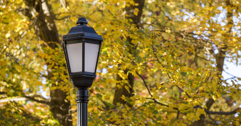 Campus fall beauty