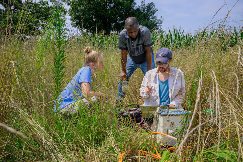 Joshua Thompson from the Massachusetts Institute of Technology works with Danielle Pryzwara and Mololuwa Abe from the University of Delaware to measure the electrical resistance of Kernza and soil, to help them understand what soil looks like across the field and what that might mean for how well crops can grow.  