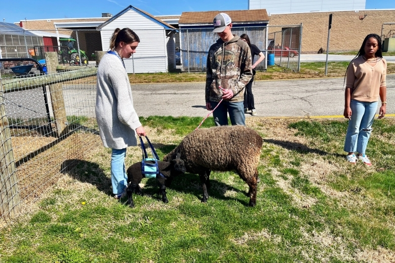 Emily Samick instructs agriscience students in the Appoquinimink School District. UD graduates are filling a critical need for secondary STEM teachers in Delaware. 
