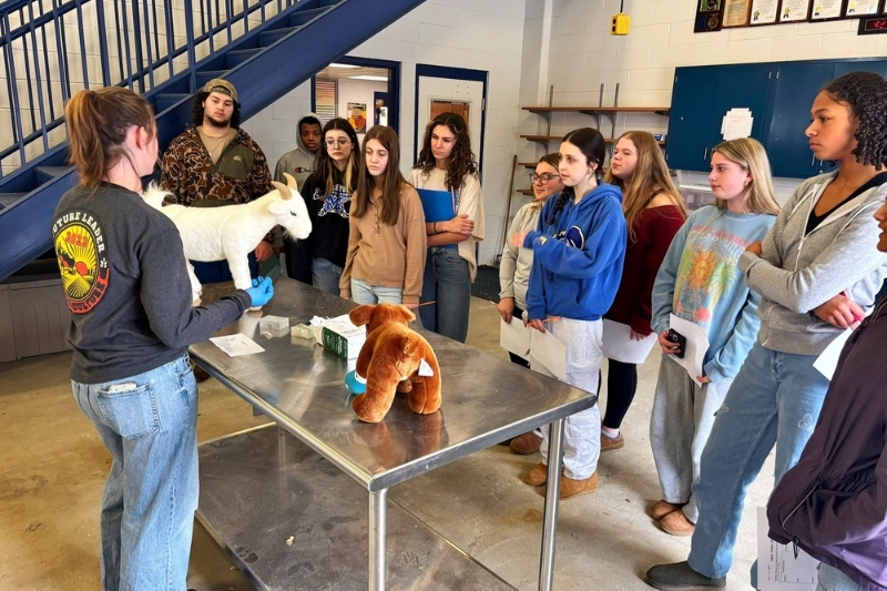 Sarah Wessel teaches a secondary agriscience class in the Appoquinimink School District. Wessel said spending a year as a student teacher through UD’s STEM 4 + 1 accelerated degree program helped to solidify her decision to pursue a career in STEM education. 
