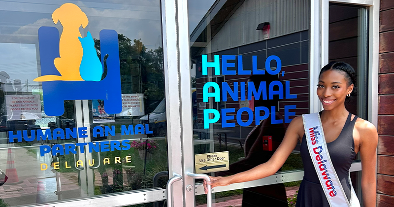 Harrison’s heart for public service extends from initiatives such as the Environmental Justice Project, which she co-founded, to local organizations like the Humane Animal Partners. 