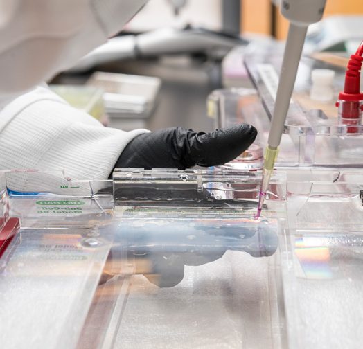 Aditya Kunjapur, a new assistant professor in the Department of Chemical and Biomolecular Engineering, has been named to the Johns Hopkins Center for Health Security’s Emerging Leaders in Biosecurity Initiative fellowship program in 2019.  He works with graduate students Sabyasachi (Sunny) Sen and Morgan Sulzbach in his lab in Colburn using the latest pipette techniques with gels. (Releases obtained on all participates.)