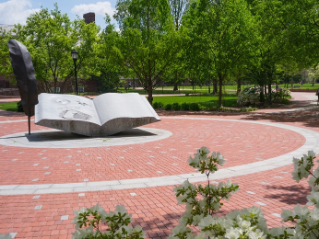 Central Green with Adirondak chair