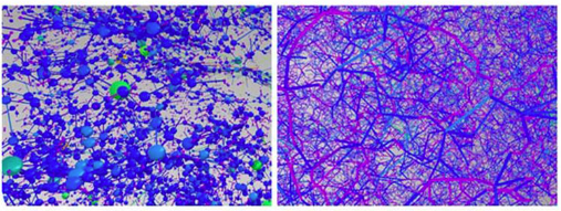 3D image analysis of the pore system in a brick.