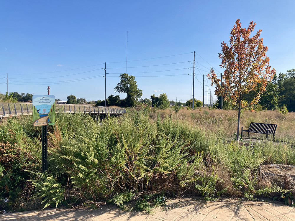 South Wilmington Wetlands Park with tall grasses, trees, a walking bridge and a park bench