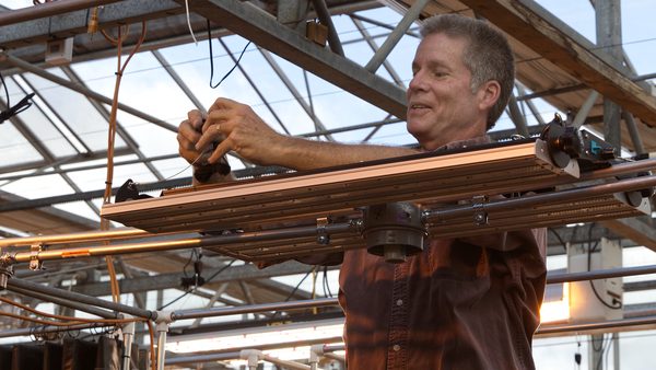Bill Bartz installs new LED lights in Fischer Greenhouse No. 5. 