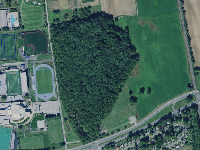 Roland Roth Ecology Woods as seen from above