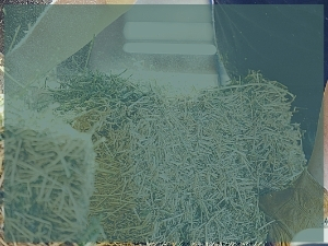 Link to a PDF of nutrient recommendations for cool season established hay.