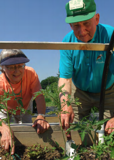 Two gardeners looking closely at their raised bed garden.