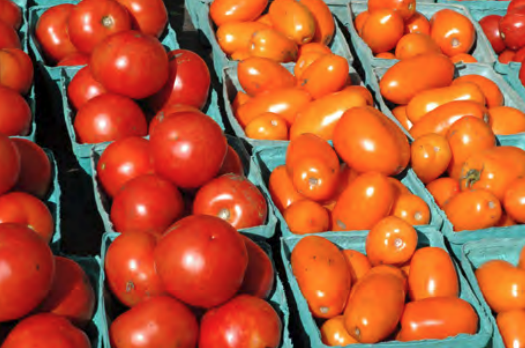 A variety of tomatoes