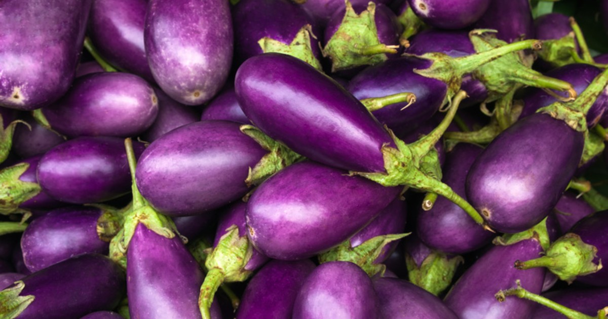 Eggplants on a table
