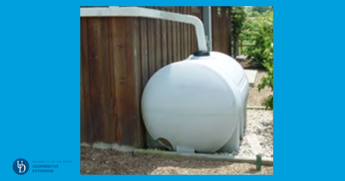 Cistern for harvesting stormwater that drains from the roof.