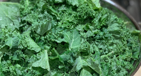 Kale photo courtesy of Gail Hermenau.