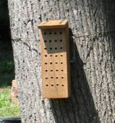 Native bee nesting box.   Photo: Faith Kuehn