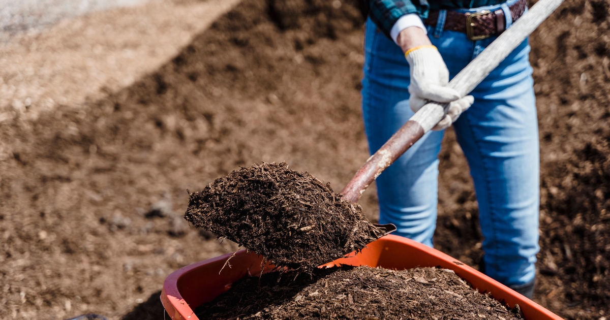 A person shoveling mulch