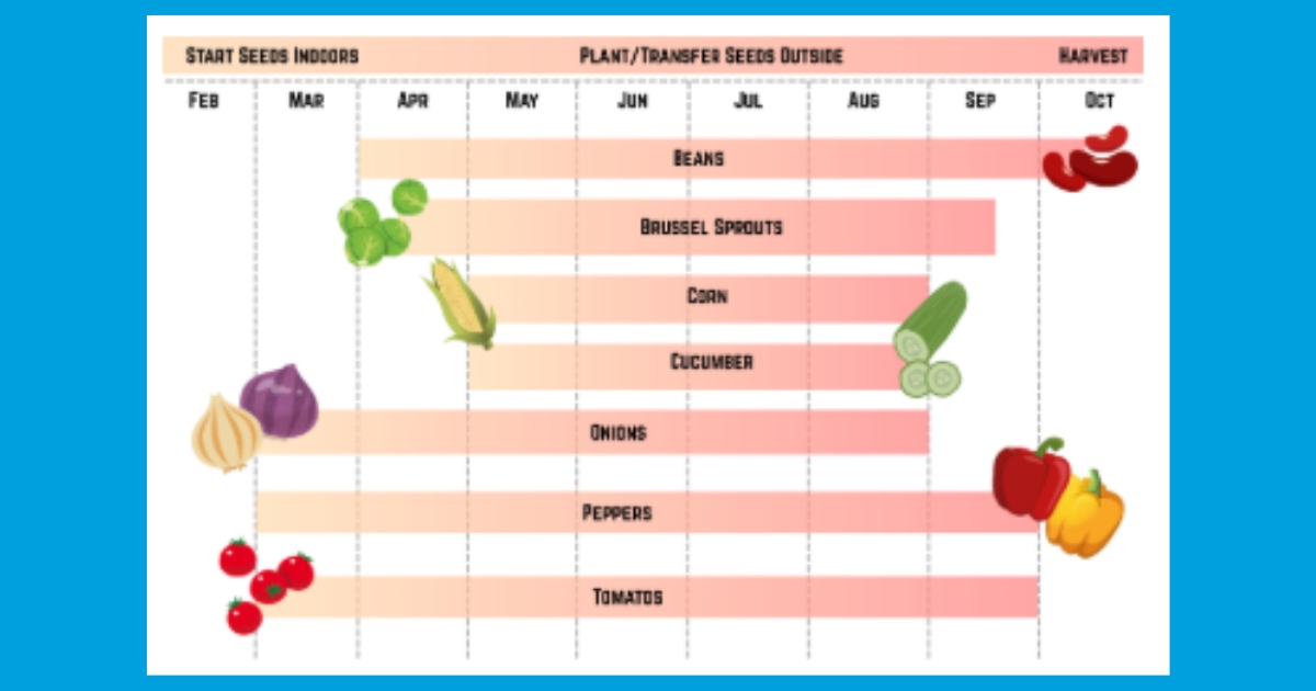 Sustainable garden graph
