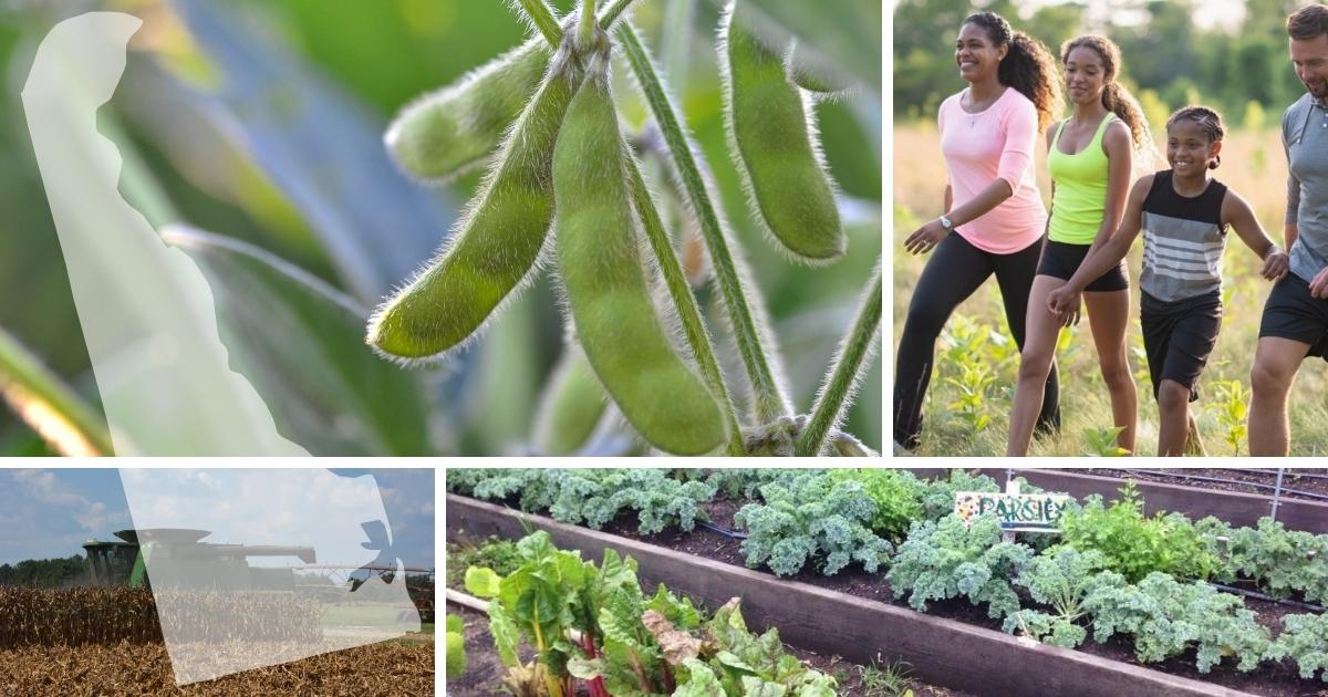 A collage of impact images including a combine, soybeans, a happy family hiking and a garden bed.