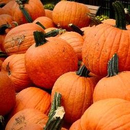 A pile of pumpkins
