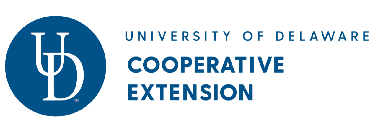 Extension Logo