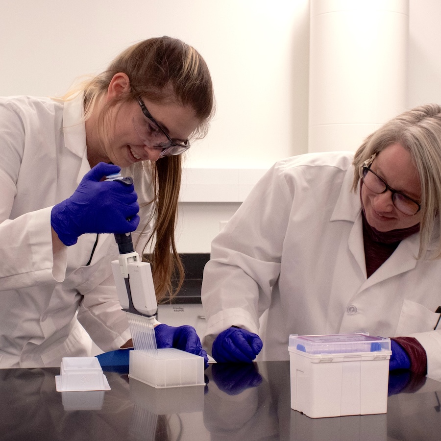 A Ph.D. student works on a mosquito lab project.