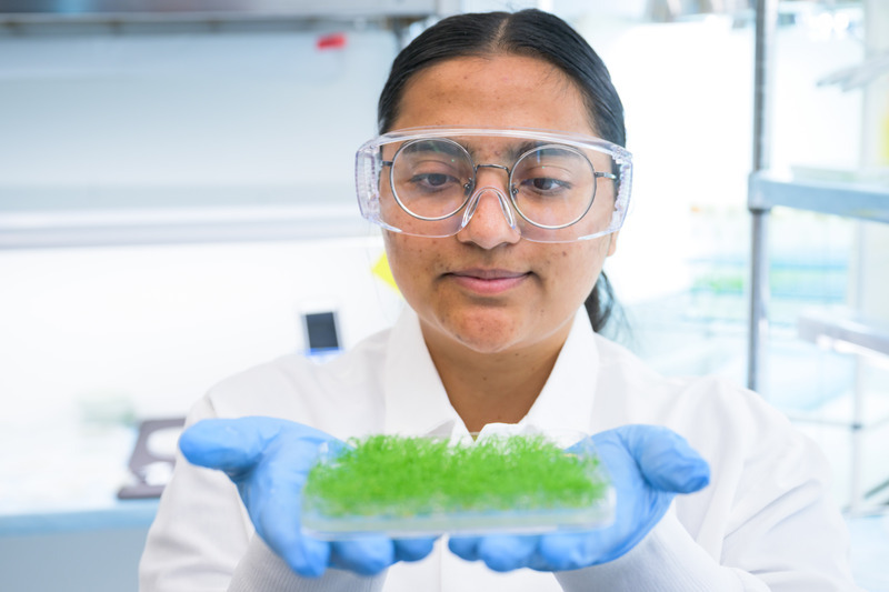 Student working in the lab