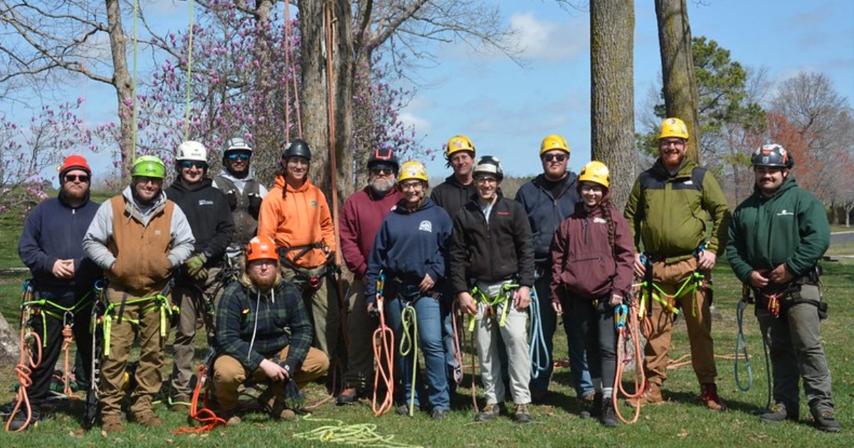 Tree climbing school students, on day one