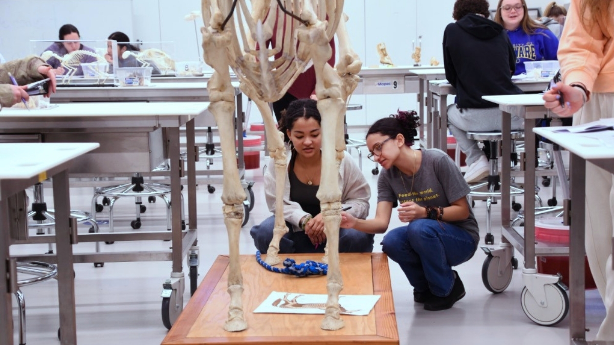 Students in the one-of-a-kind bones lab.