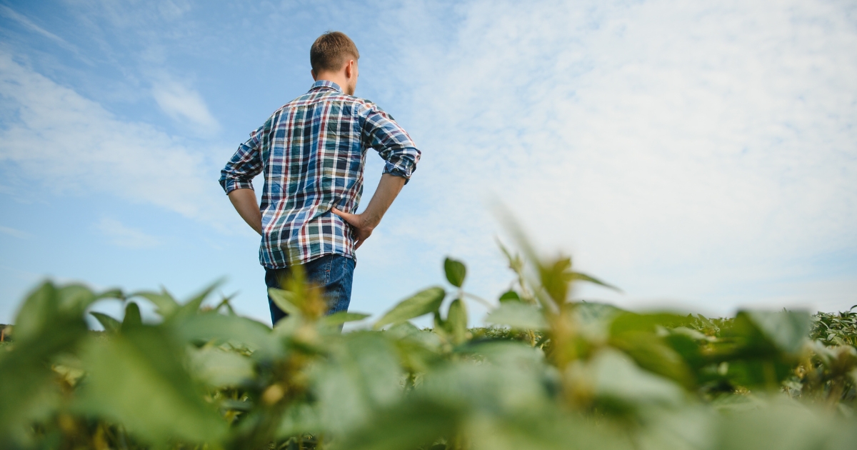 A farmer standing in his field.