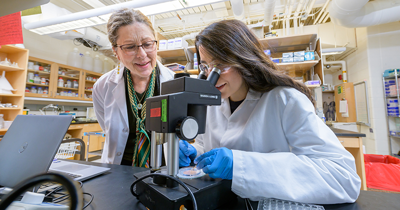 A University of Delaware professor in a white lab coat helps a student looking through a microscope while wearing a white lab coat and blue latex gloves.