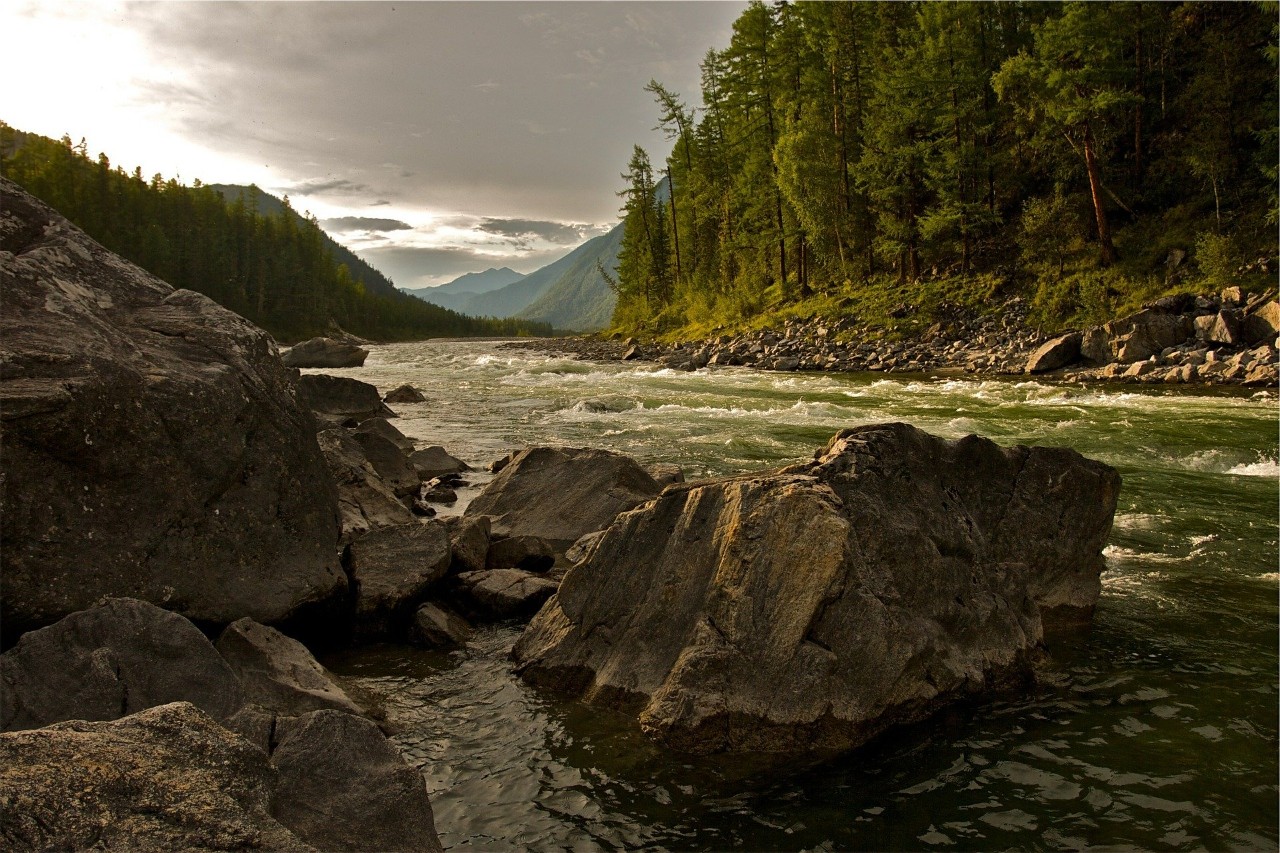 Landscape of a mountain river and rocks in the foreground and mountain and a forest receding into the background.