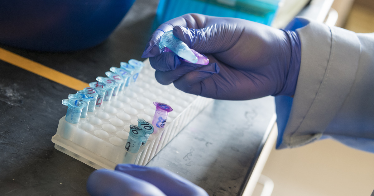 Closeup of gloved hands working with test tubes in a lab