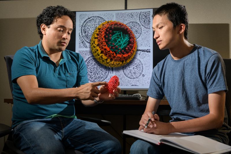Juan Perilla, assistant professor of Chemistry and Biochemistry, with one of his doctoral students Chaoyi Xu