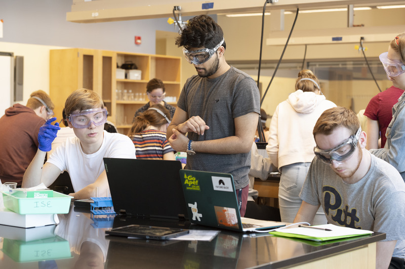 Daniel Hallora is a TA who helps lead the Honors Integrated Bio/Chemistry class that is part class learning & teaching and lab work