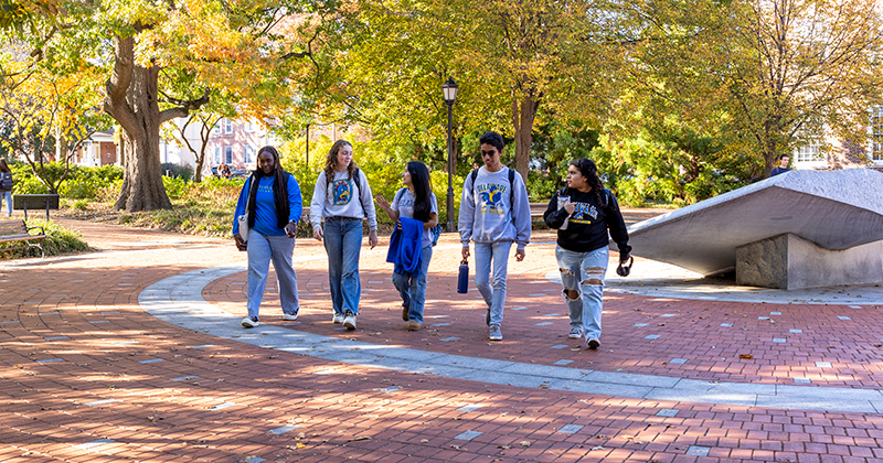 Five college students dressed in University of Delaware spirit wear walk across UD's North Green on a sunny fall day.