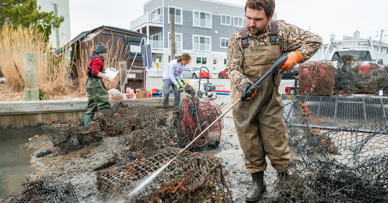 Graduate students, faculty, and staff with the College of Earth, Ocean, and Environment and Delaware Sea Grant working in Rehoboth Bay to clean up to clean up "ghost" (derelict and abandoned) crab pots which litter the floor of the Bay. A previous survey found over 300 pots which have been lost or abandoned that can nevertheless still trap and kill wildlife that come across them, as well as pose a risk to boaters and swimmers. Once the pots have been removed from the bottom they are cleaned up and made available for repair and reuse or broken up and recycled.