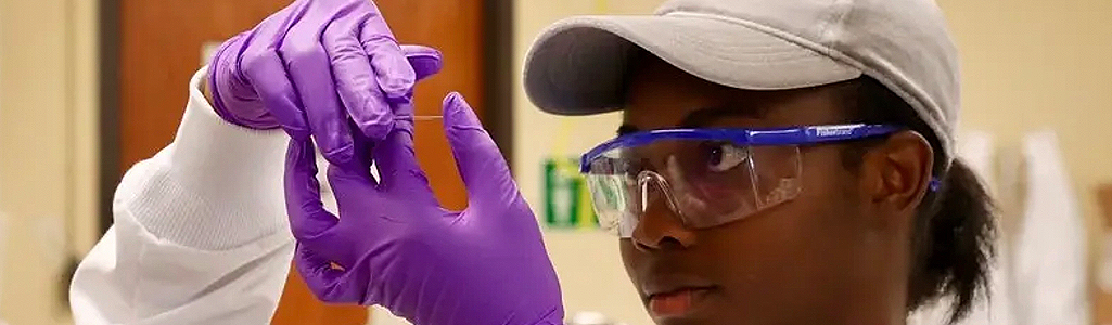 Animal and Food Sciences