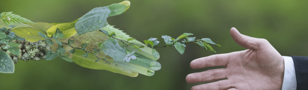 A hand made of green items shaking hands with a normal human hand.