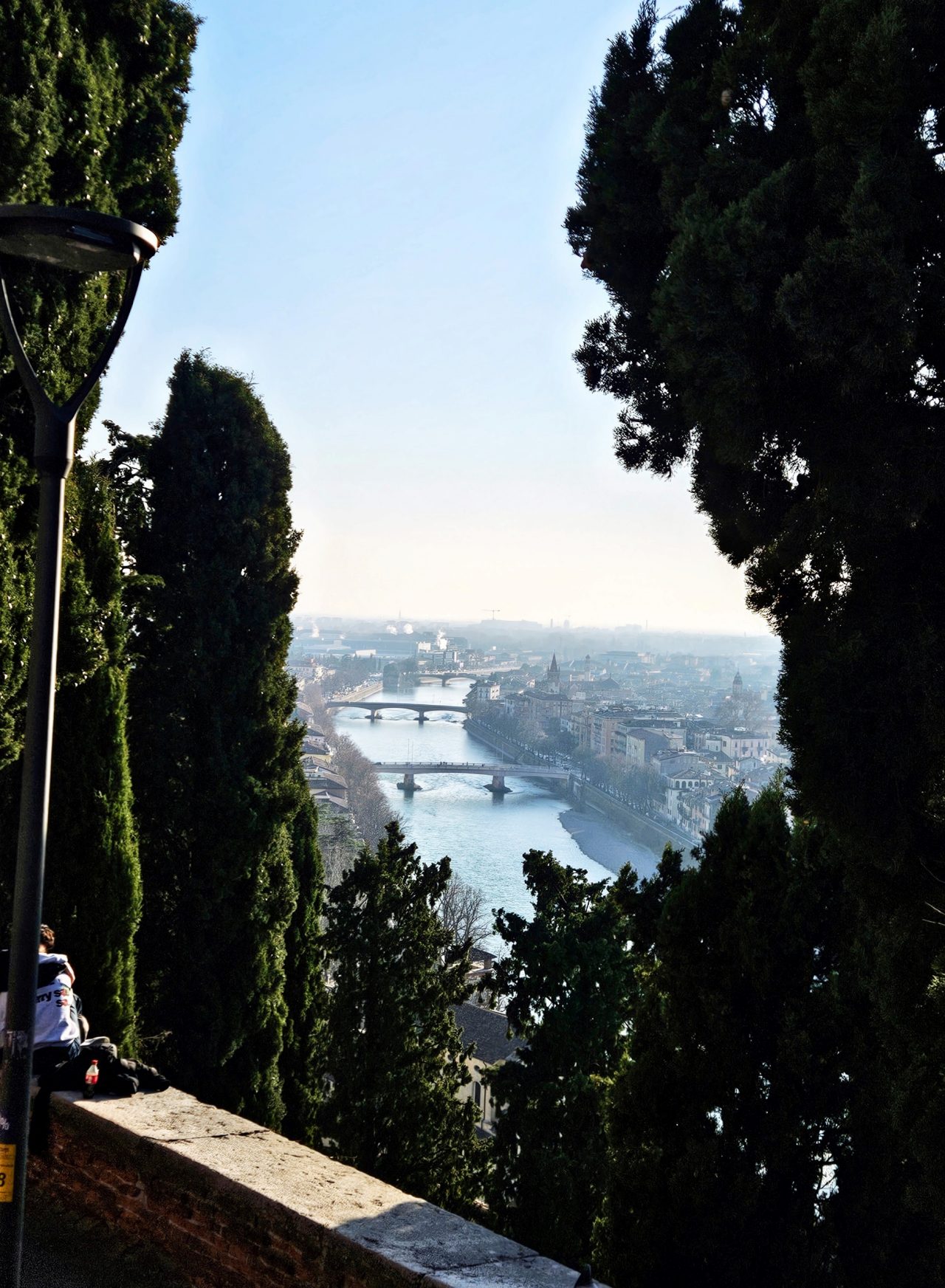 Study Abroad Storytelling Contest, Blue Hen Community Award Winner: Verona Through the Trees