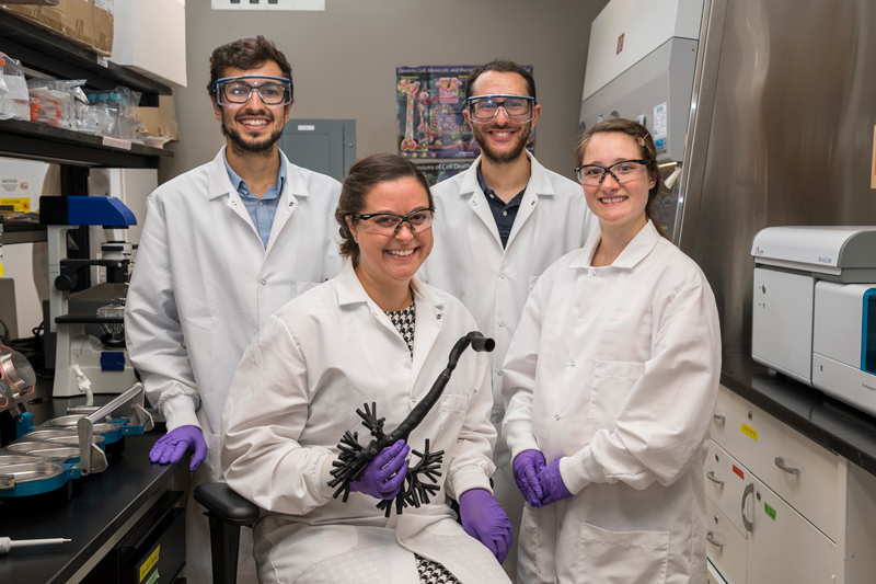Students and faculty in the lab. 