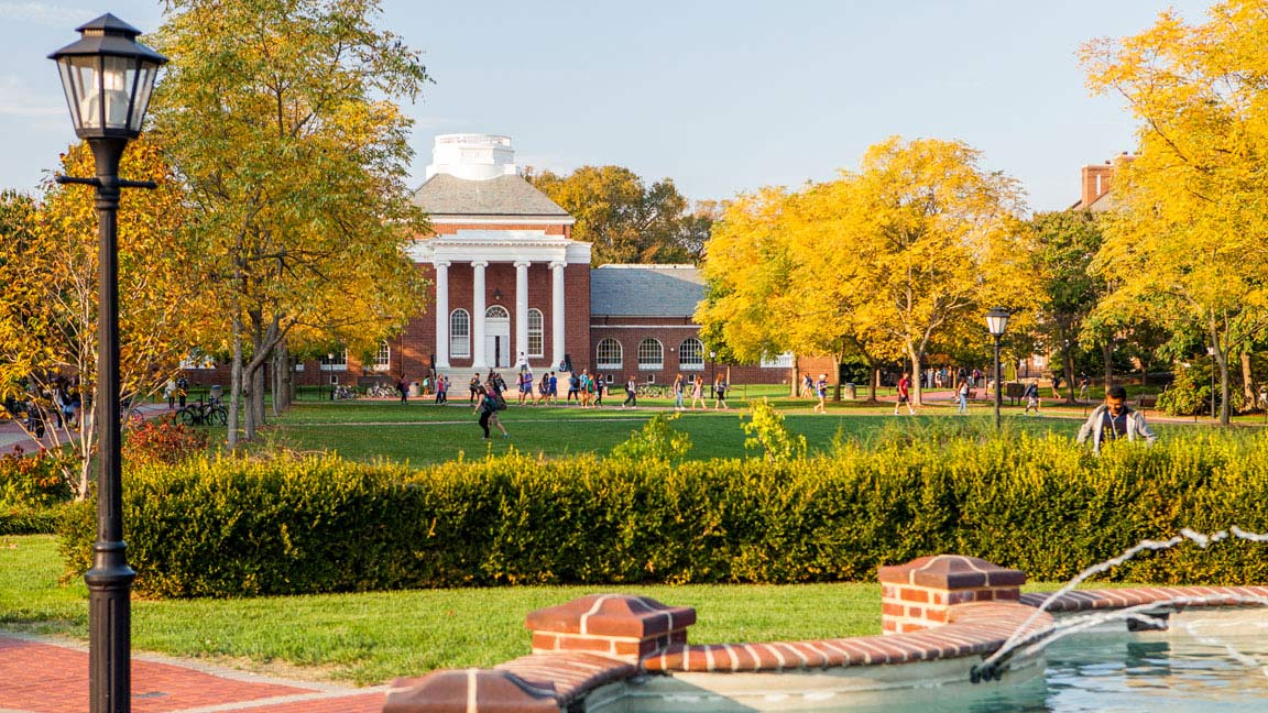 Blue Hens Forever video conferencing background graphic.