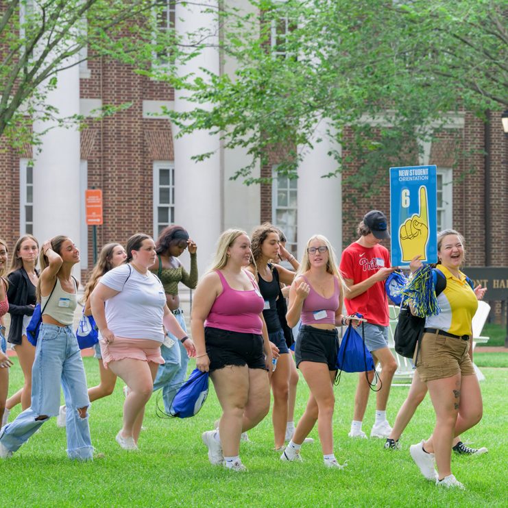 Apply as a transfer student using the UD Online Application