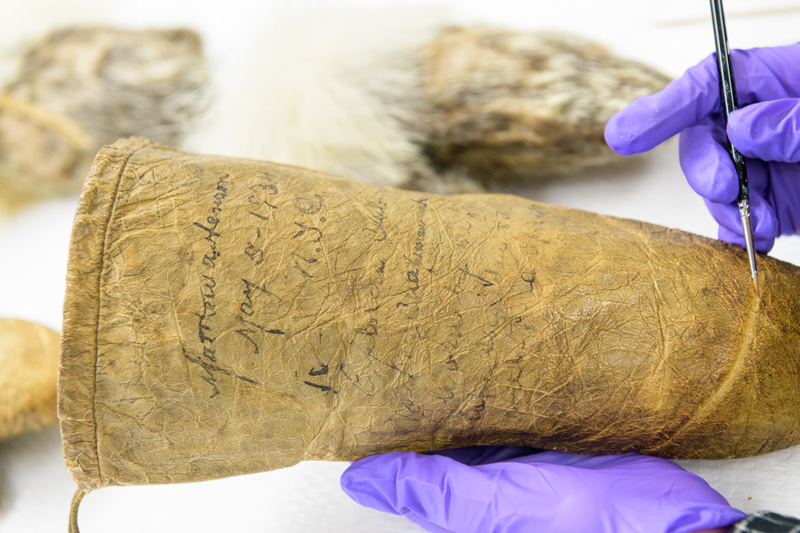Caitlin Richeson, a graduate student in the Winterthur / University of Delaware Program in Art Conservation program, working to conserve the mittens worn by Matthew Henson during the 1908–09 expedition to the geographic North Pole with Robert Peary. Henson, who served as navigator, craftsman, and was known as Peary's "first man" on the expeditions, was also the first African-American Arctic explorer. - (Evan Krape / University of Delaware)
