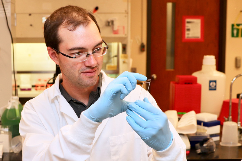 Ryan Arsenault research lab. Research focus: Study of gut health and disease pathogenesis using molecular proteomic and kinomic techniques. Current projects involve, immune development, antibiotic alternatives, and viral/bacterial infections.