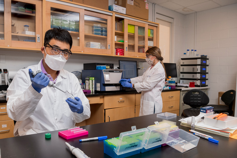 Mersady Redding along with Professor Jae Kyeom Kim work on research that works with dietary prevention and the treatment of chronic diseases.  (Redding is working on a Spectrophotometer to quantify RNA while Dr. Kim prepares samples.)