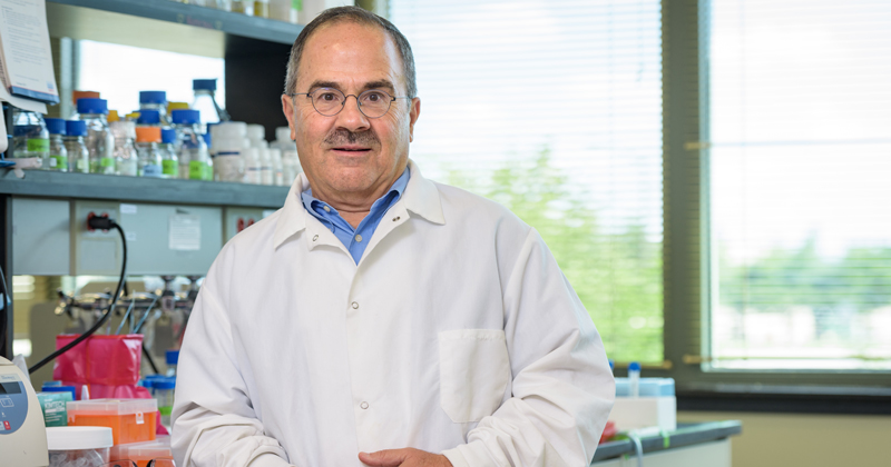 Eleftherios "Terry" Papoutsakis, the Eugene duPont Chaired Professor of Chemical and Biomolecular Engineering, photographed in his Delaware Biotechnology Institute lab and BioImaging Center to accompany the announcement of being awarded the E.V. Murphree Award in Industrial and Engineering Chemistry from the American Chemical Society. - (Evan Krape / University of Delaware)